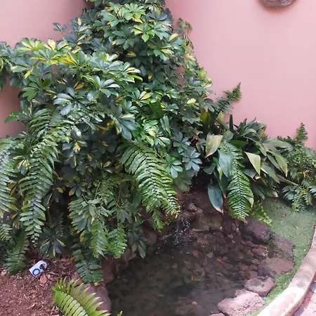 Holiday home Guaniles *